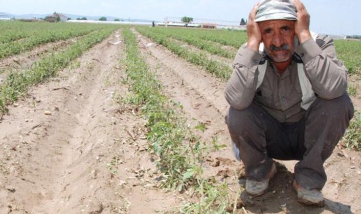 TARIM NEDEN YERİNDE SAYIYOR?