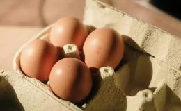 Yumurta alırken neye dikkat edilmeli? Üzerinde yazan kodlara göz atın