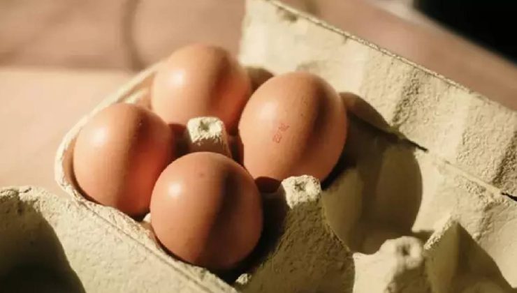 Yumurta alırken neye dikkat edilmeli? Üzerinde yazan kodlara göz atın