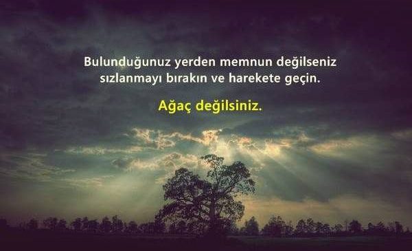 Baha’nelere ne gerek!