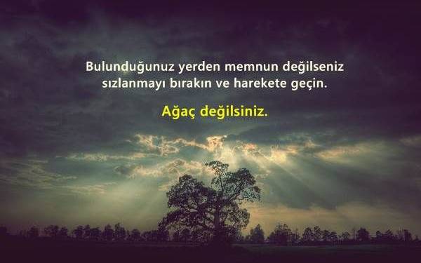 Baha’nelere ne gerek!
