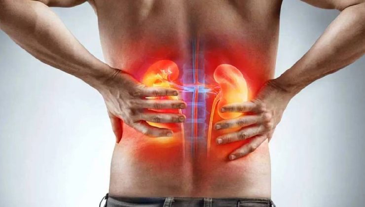 Japon doktordan kritik uyarı! 6 besin böbreklerin ömründen çalıyor! Hayatınızdan uzaklaştırın