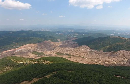 Doğa kırımı da soykırım gibi ağır bir uluslararası suç sayılmalı