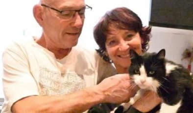 İspanya’da Kaybolan Kedi 250 Kilometre Yürüyüp Sahibine Kavuştu
