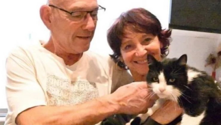 İspanya’da Kaybolan Kedi 250 Kilometre Yürüyüp Sahibine Kavuştu