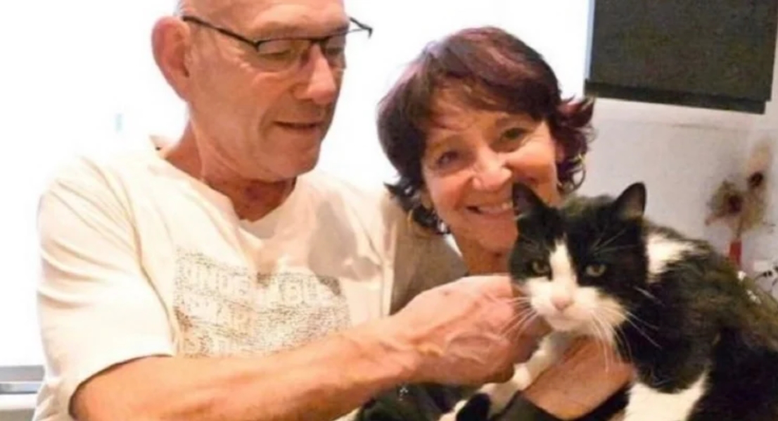 İspanya’da Kaybolan Kedi 250 Kilometre Yürüyüp Sahibine Kavuştu