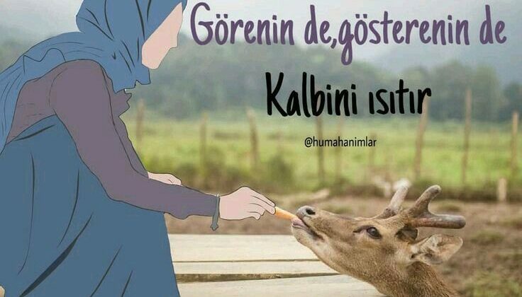 GEÇ KALAN MERHAMET