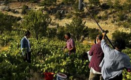 Mersin Büyükşehir Sinema Ofisi’nden destek…