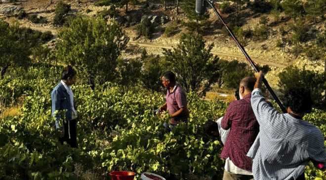 Mersin Büyükşehir Sinema Ofisi’nden destek…