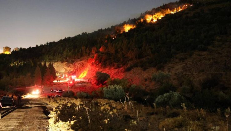 İzmir Bornova’da orman yangını