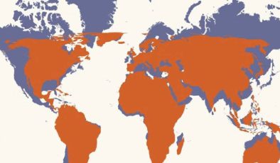 Dünya haritası değişiyor mu? BM’den Afrika için tarihi adım