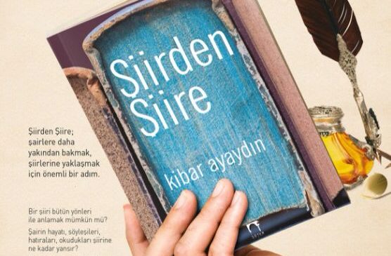BİR ŞİİR OKURUNA NE SÖYLER